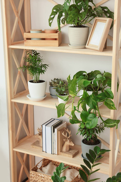 Wooden shelving unit with beautiful house plants indoors. Home design idea - Foto, afbeelding