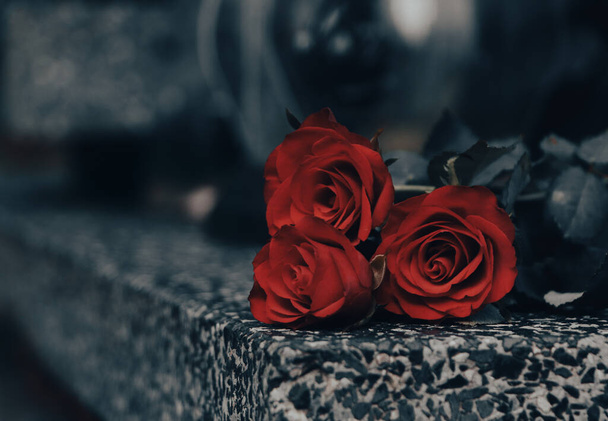 Red roses on grey granite tombstone outdoors, closeup. Space for text - Фото, изображение