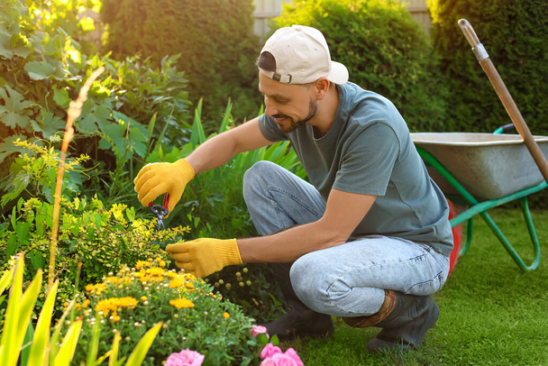 Happy man cutting plant outdoors on sunny day. Gardening time - Photo, image