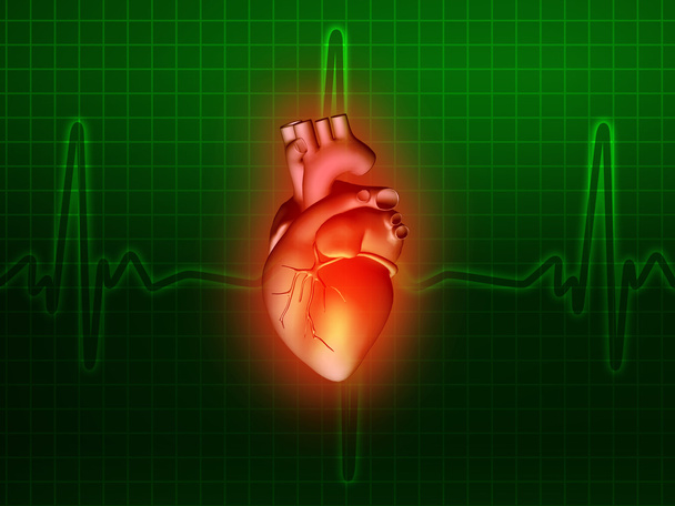 Herzkrankheit 3d Anatomie Abbildung grün - Foto, Bild
