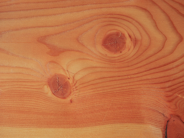 Модрина деревини фон
 - Фото, зображення