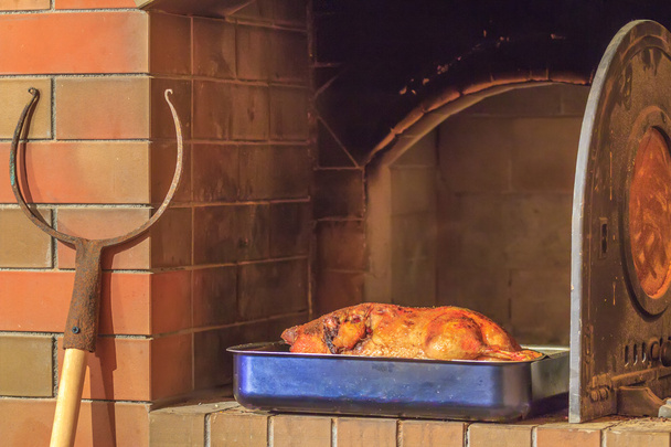 Pato asado en el fondo del horno de leña
 - Foto, Imagen