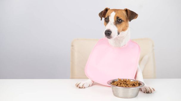Dog jack russell terrier at the dinner table in a pink bib - Fotoğraf, Görsel