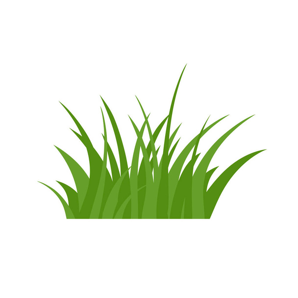 Green Grass Isolated on White Background,flowers - Vector, Image