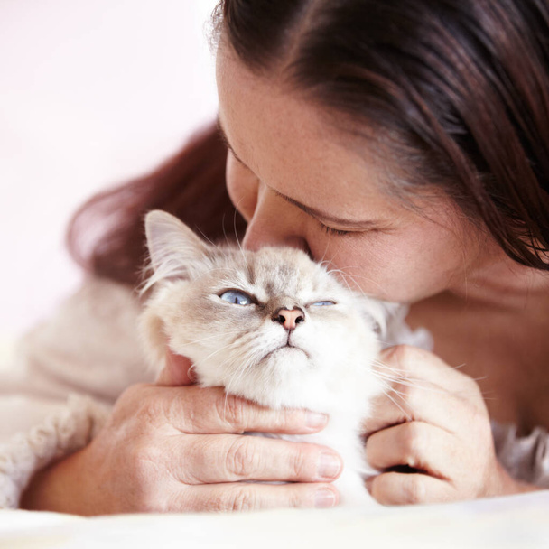 SO viel Niedlichkeit. Eine Frau schenkt ihrer kleinen Katze etwas mehr Liebe - Foto, Bild