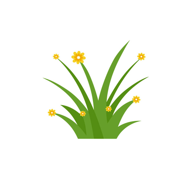 Hierba verde aislada sobre fondo blanco, flores - Vector, imagen