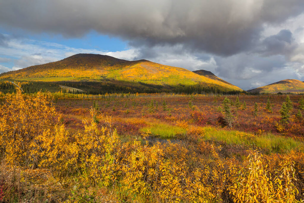 Tundra landscapes above Arctic circle in autumn season. Beautiful natural background. - Fotografie, Obrázek