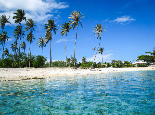 Playas de Polinesia Francesa
 - Foto, imagen