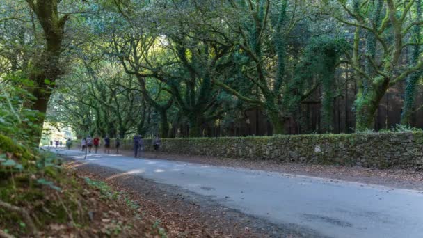 Aikajana pyhiinvaeltajia yli Camino de Santiago radan upea tie - Materiaali, video