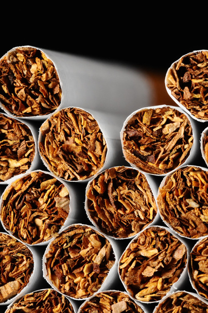 indústria do tabaco
 - Foto, Imagem
