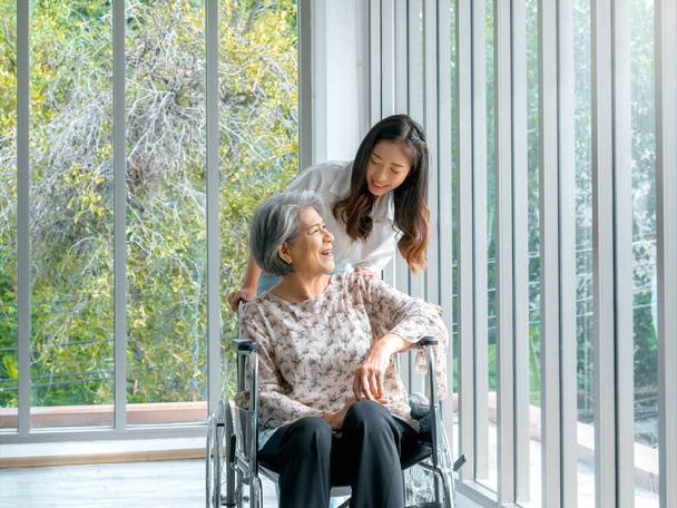 Mulher idosa asiática feliz, mãe ou avós em cadeira de rodas cuidando por cuidador, sorrindo jovem do sexo feminino, filha ou neto apoiando em casa em fundo de natureza verde, cuidados de saúde sênior. - Foto, Imagem