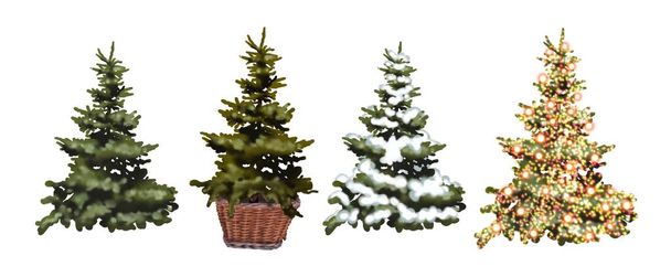 Σετ νερομπογιάς χριστουγεννιάτικων δέντρων. ρεαλιστικά σετ χριστουγεννιάτικων δέντρων. Εικόνα υψηλής ποιότητας - Φωτογραφία, εικόνα