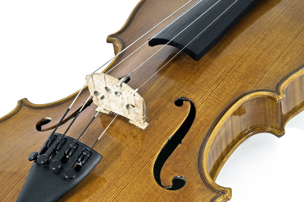Italian viulu sointu tiedot
 - Valokuva, kuva