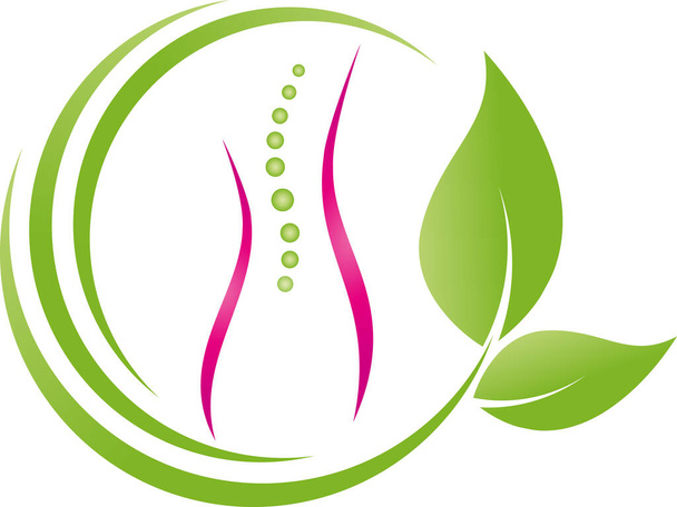 Orthopädische, physikalische Therapie, Massage, Chiropraktiker-Logo - Vektor, Bild