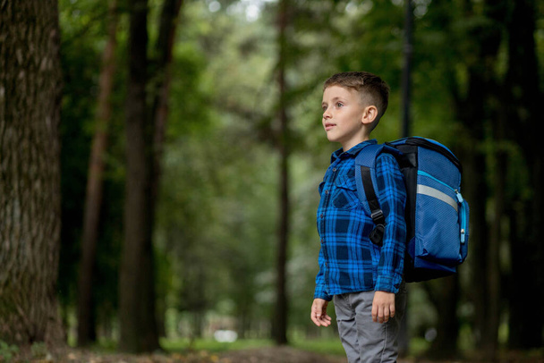 Boy of school age with a blue backpack goes to school in the park. - Foto, immagini