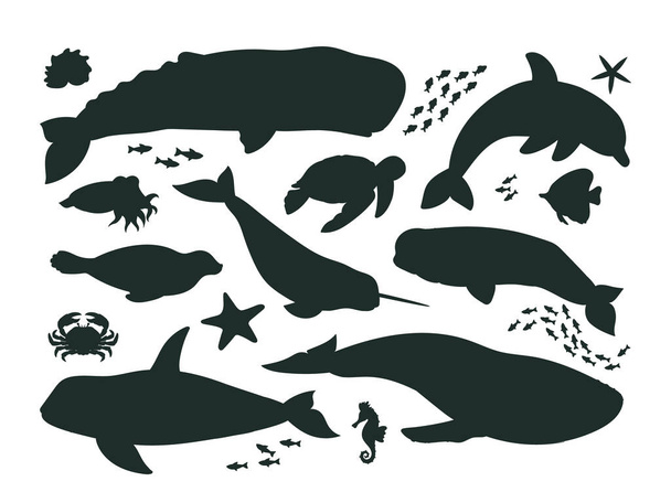 Kreskówkowe zwierzęta morskie sylwetki, ocean życia fauny, orki, delfinów i wielorybów. Ilustracje podwodnych stworzeń wodnych, wieloryba plemników, narwala i wektora fok - Wektor, obraz