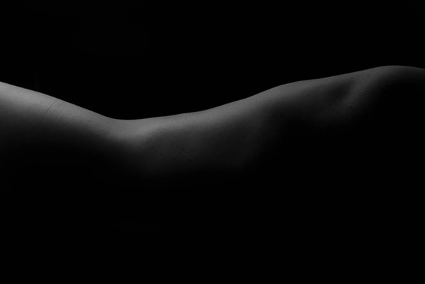 Silhouette féminine nue. Portrait noir et blanc. Femme mûre sexy. Jeune adulte avec corps nu. - Photo, image
