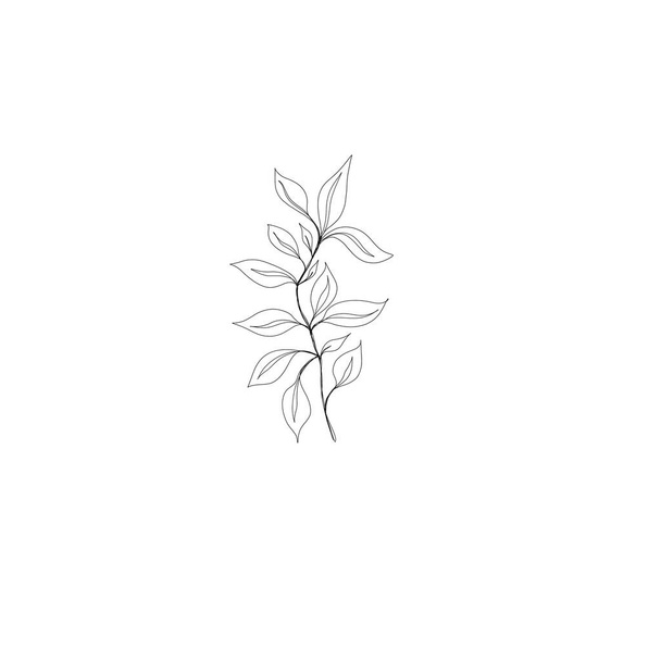 Minimalistic line drawing. leaf line art. Botanical drawing illustration by hand. beautiful idea for a postcard, a postcard. for home decor such as posters, wall art. Botanical Contour Drawing - Photo, Image