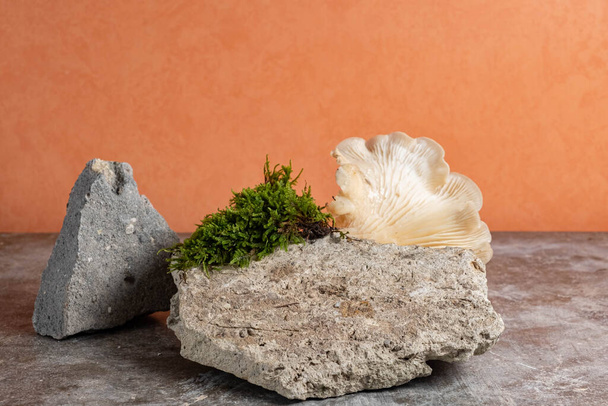 Stone podium, mushrooms and green moss on a orange background. Still life for the presentation of products and natural cosmetics. Copy space, natural style.  - Foto, immagini