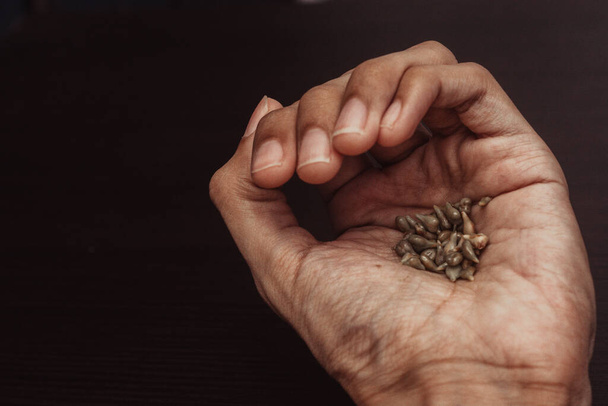 mano sosteniendo un puñado de semillas secas de girasol - Foto, Imagen