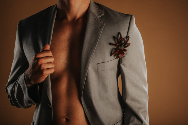 close-up van een man in pak staan in de studio met zijn tarantula - Foto, afbeelding
