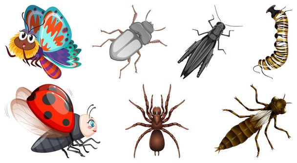 Conjunto de diferentes tipos de ilustración de insectos
 - Vector, Imagen