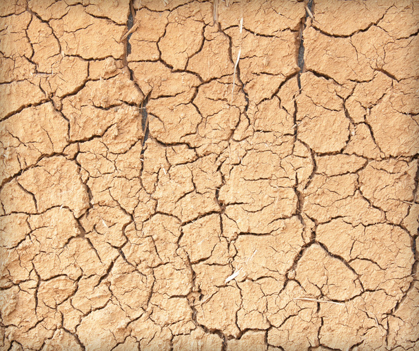 Dürre reißt den Boden auf - Foto, Bild