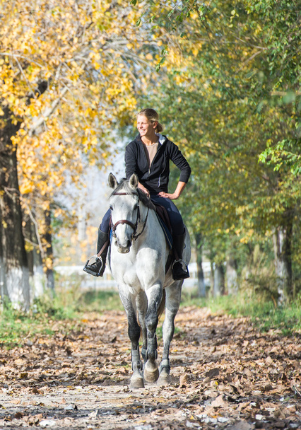  Tyttö ratsastaa hevosella  - Valokuva, kuva