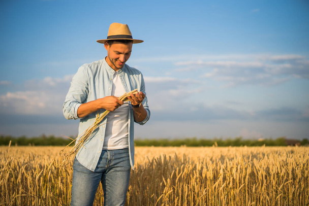 Happy farmer is standing in his growing wheat field and examining crops after successful sowing. - Foto, Imagen