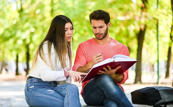 Two students studying together sitting on a bench outdoor - Foto, Imagen