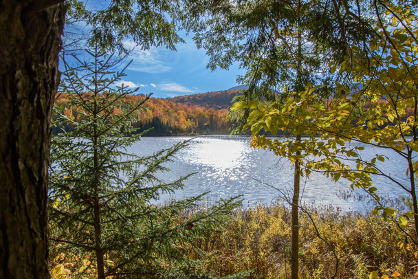 Autumnal mountains with colourful foliage and clear lake, beautiful nature. - Фото, изображение