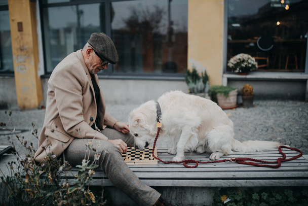 Senior man sitting on a bench with his dog and playing chess. - Foto, immagini
