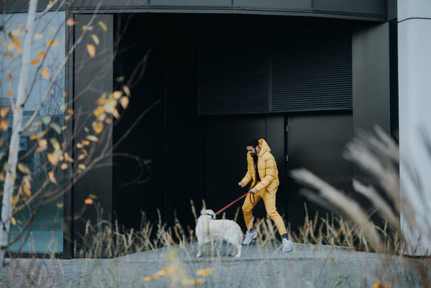 A happy young man walking his dog outdoors in city during autumn day. - Zdjęcie, obraz