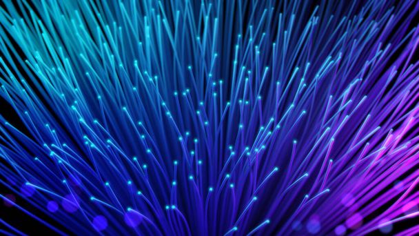 Fiber optic cables, Selective focus, Abstract technology background,3d rendering - 写真・画像