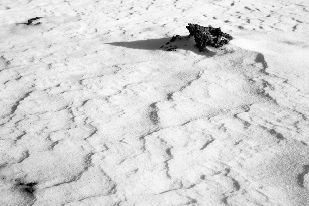 Textura nieve
 - Foto, Imagen
