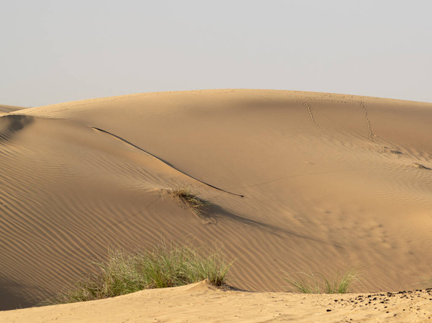 Näkymä kauniille suurelle hiekkadyynille aavikolla Al Marmoomin aavikkosuojelualueella Al Qudrassa Dubaissa, Yhdistyneissä arabiemiirikunnissa. - Valokuva, kuva