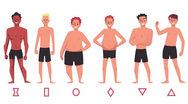 Human body and male figures types set, flat vector illustration isolated on white background. Male body types infographic collection with human characters. - Vektor, obrázek