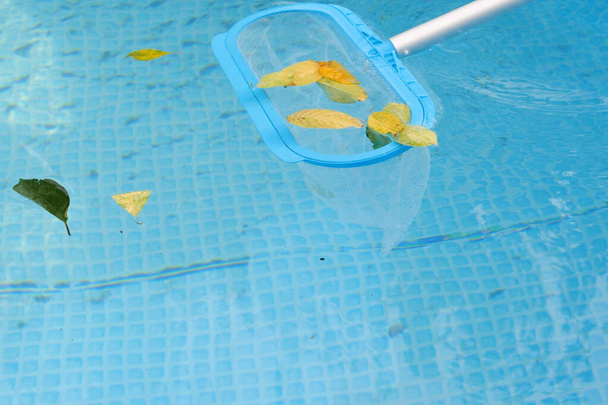 Nettoyage d'une piscine avec une écumoire en maille. Le long filet nettoie les feuilles colorées de la surface de l'eau. - Photo, image