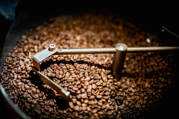 Close up machine spatula with brown arabica coffee beans near special equipment. Factory concept. - 写真・画像