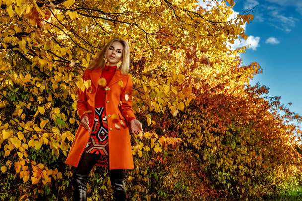 Kaunis nainen on yllään Fall vaatteita syksyllä maisemia värikkäitä lehtiä. Ulkokuvauksissa. Syksyn muoti. - Valokuva, kuva