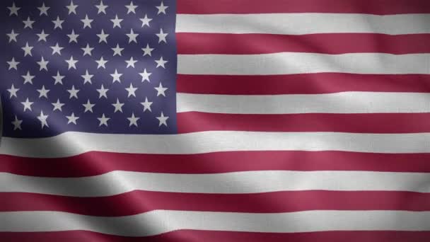 Vlag van de vlag van de Verenigde Staten wapperend in de wind. - Video