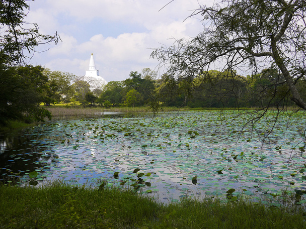 Anuradhapura - Photo, image