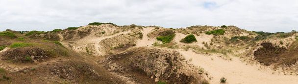 Paysage naturel sur le sable jaune des dunes de Bray-Dunes, Dunkerque, France - Photo, image