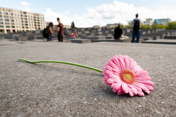 Memorial to the Murdered Jews of Europe in Berlin downtown, Germany. Flower with Rows of rectangular concrete blocks, narrow alleys between them on the background - Photo, Image