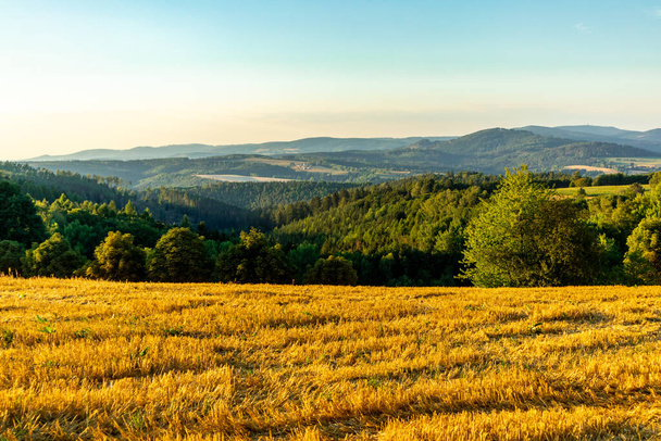 Summer cycling tour through the beautiful nature of Schmalkalden - Thuringia - Germany - 写真・画像