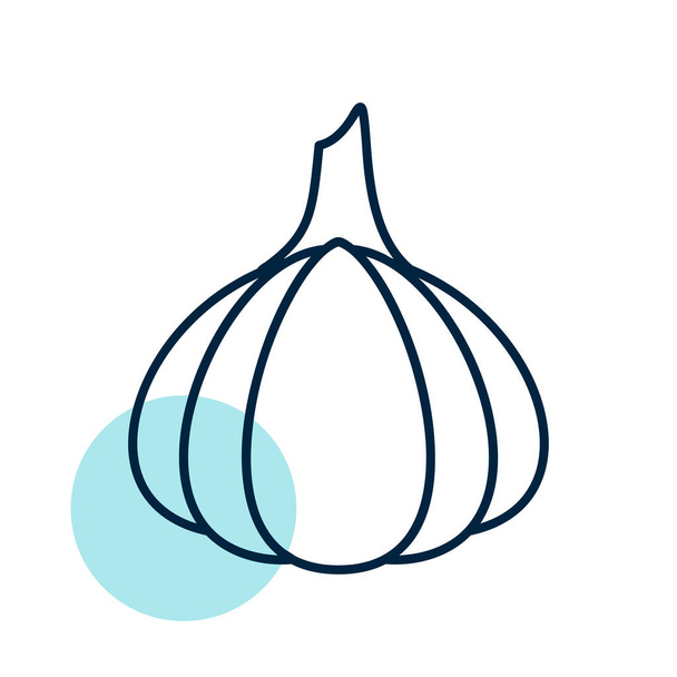 Lampadina di aglio, icona vettoriale di design isolato di allium sativum. Segno di verdure. Simbolo grafico per il cibo e bevande sito web, apps design, applicazioni mobili e supporti di stampa, logo, UI - Vettoriali, immagini