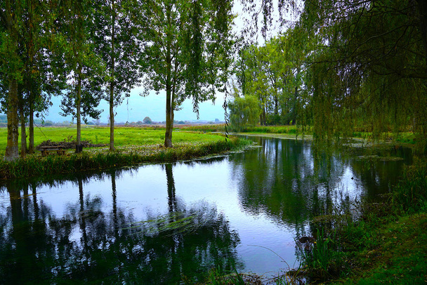 Prächtige Herbstfarben am Flussufer mit grünen Weiden, die sich im Wasser spiegeln - Foto, Bild