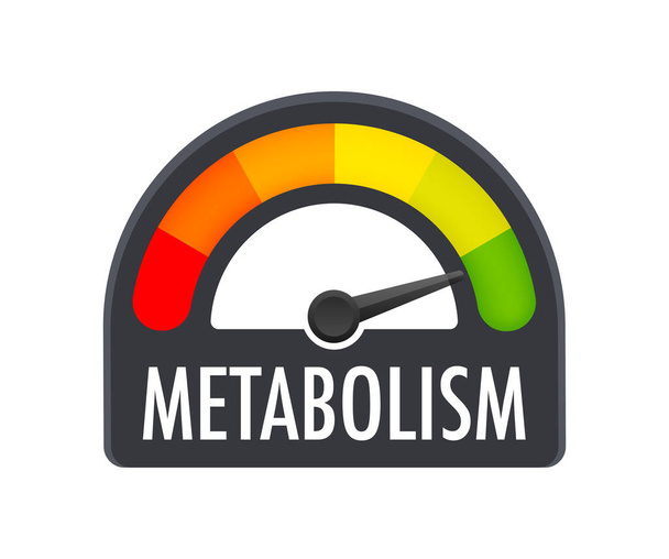 Metabolism level scale. Sign tachometer, speedometer, indicators Vector stock illustration - Vektör, Görsel