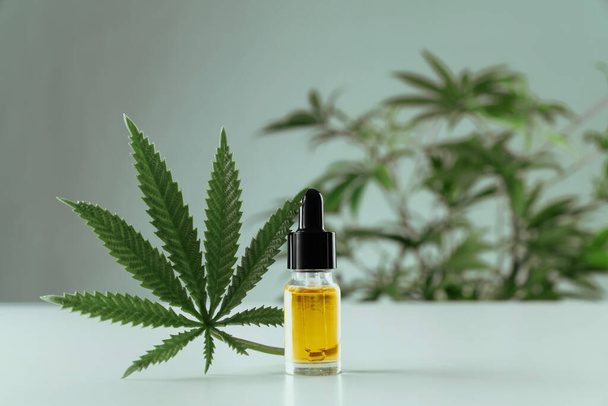 Legalized CBD oil in the glass container arranged together with green sativa hemp on empty background for copyspace in advertising and commercial. - Foto, Bild