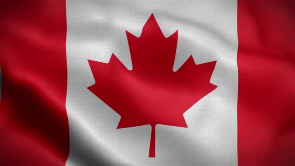 Bandiera del Canada. Bandiera canadese sventola nel vento. - Filmati, video